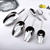 Stainless Steel Ice Scoop