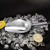 Stainless Steel Ice Scoop
